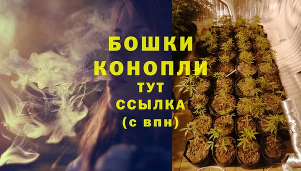 дурь Медногорск