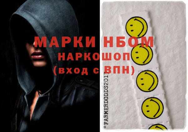 гидра Медвежьегорск