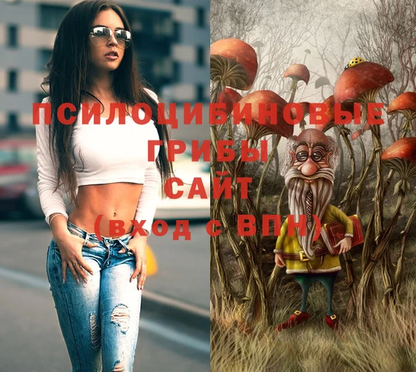 дурь Медногорск