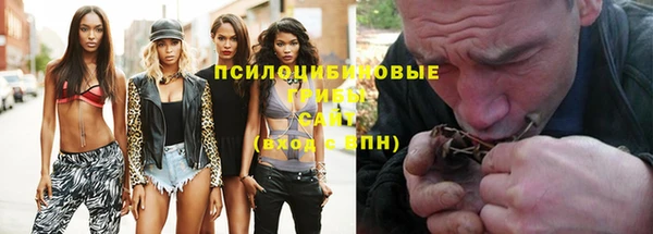 дурь Медногорск